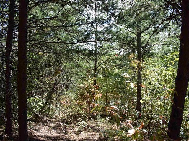 Photo of 0 Holland Drive