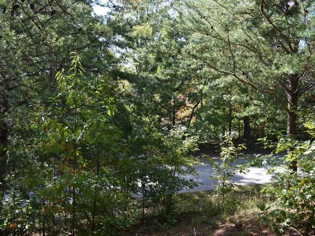 Photo of 0 Holland Drive