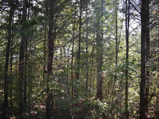 Photo of 0 Holland Drive