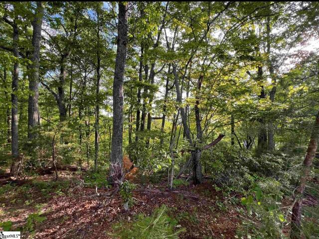 Photo of 720 Callahan Mountain Road