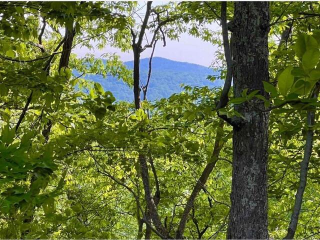 Photo of 720 Callahan Mountain Road