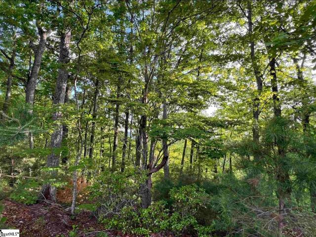 Photo of 720 Callahan Mountain Road