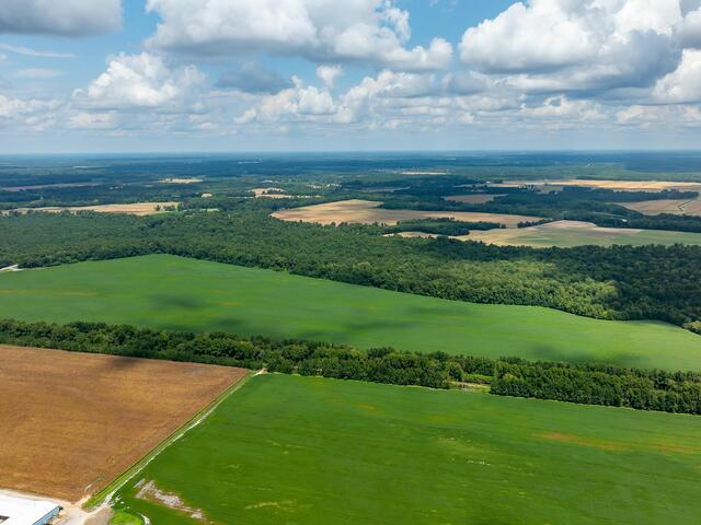 Photo of 10988 US-301 Highway