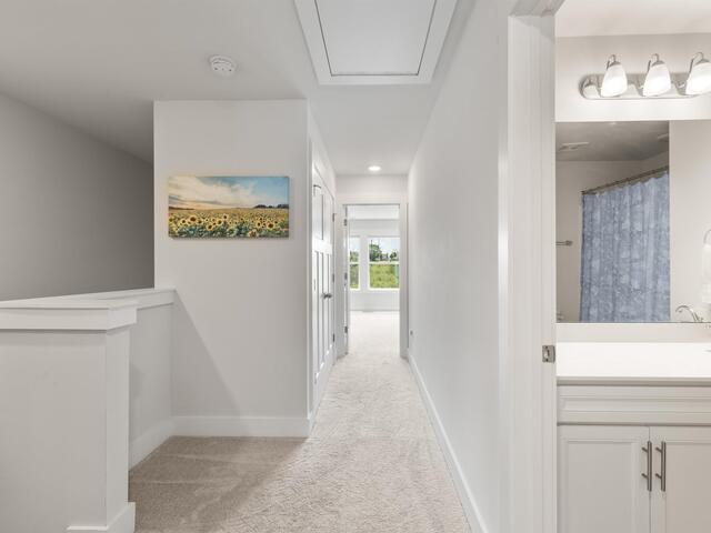 Photo of 127 Shallons