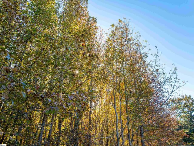 Photo of 013 Taylor Road