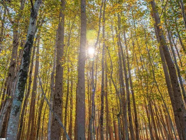 Photo of 013 Taylor Road