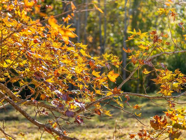 Photo of 013 Taylor Road