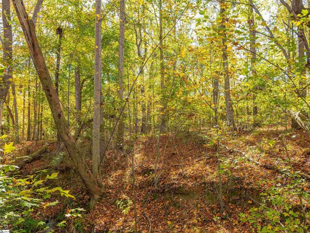 Photo of 013 Taylor Road