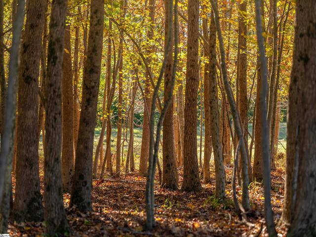 Photo of 013 Taylor Road