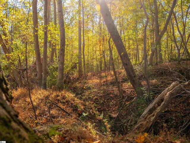 Photo of 013 Taylor Road