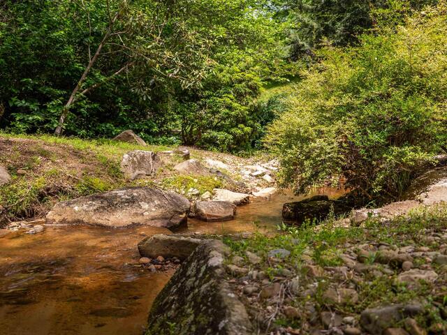 Photo of 8 Rustic Court