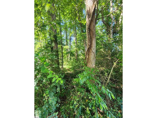 Photo of 103 Quail Haven Drive