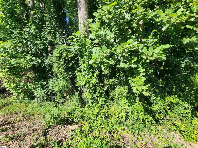 Photo of 103 Quail Haven Drive