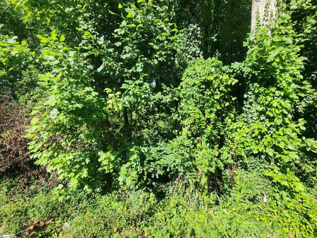 Photo of 103 Quail Haven Drive