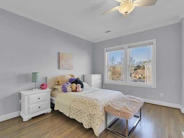 Photo of 214 Gibbs Street