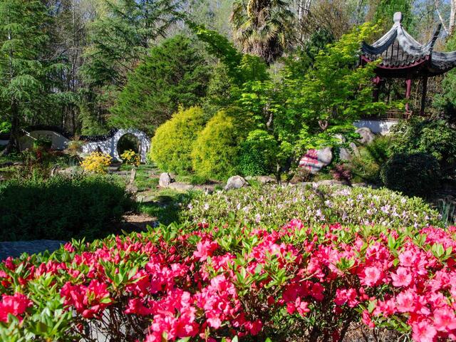 Photo of 380 Montagu Drive