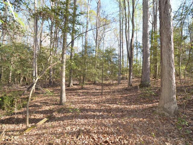 Photo of 380 Montagu Drive