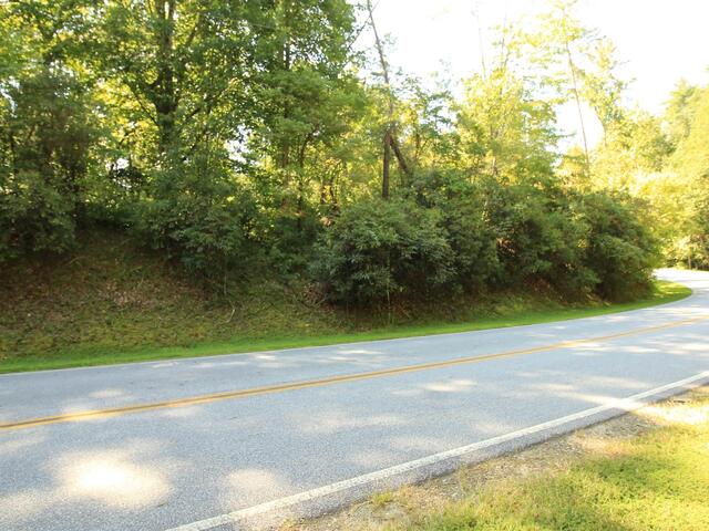 Photo of Cleo Chapman Highway