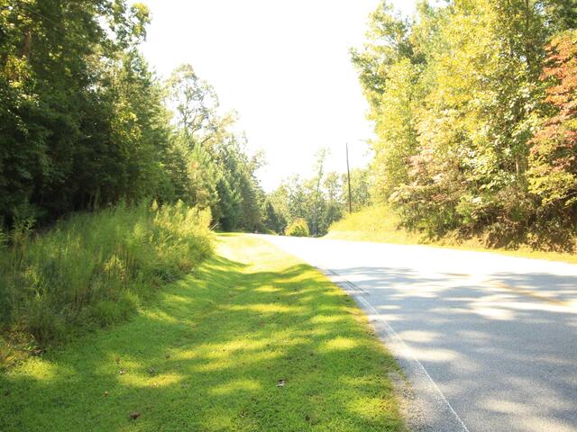 Photo of Cleo Chapman Highway