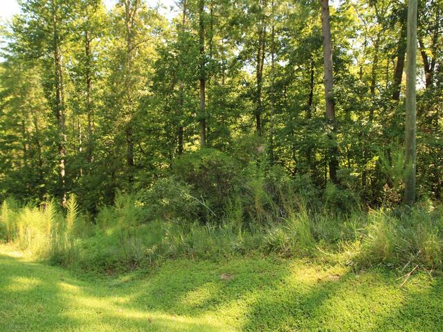 Photo of Cleo Chapman Highway