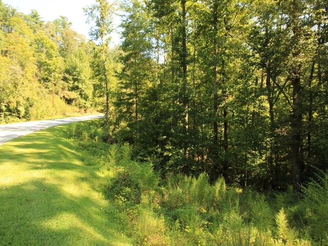 Photo of Cleo Chapman Highway