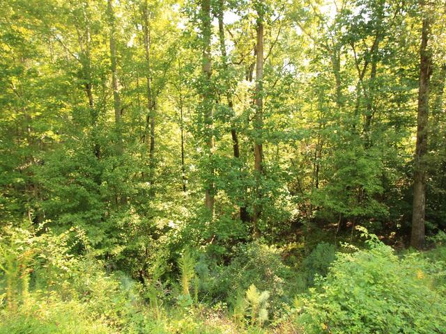 Photo of Cleo Chapman Highway