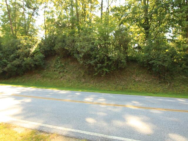 Photo of Cleo Chapman Highway