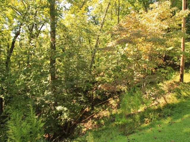 Photo of Cleo Chapman Highway