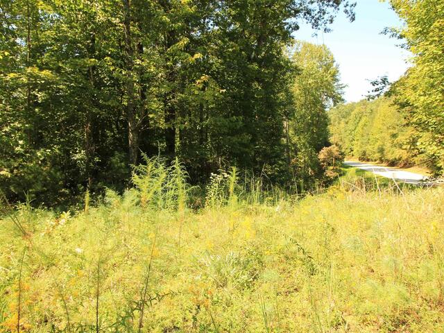 Photo of Cleo Chapman Highway