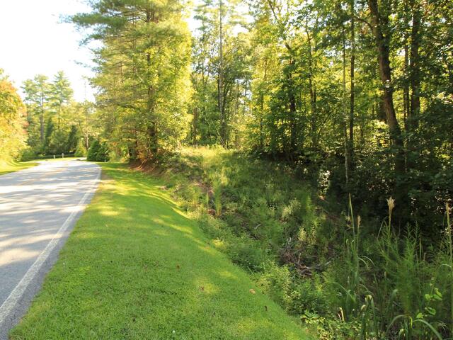 Photo of Cleo Chapman Highway