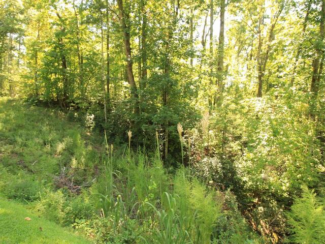 Photo of Cleo Chapman Highway