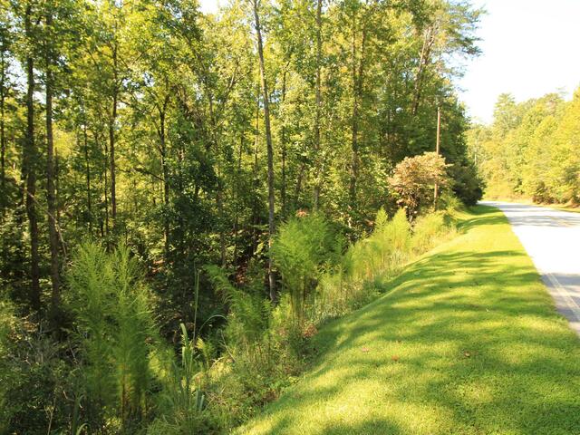 Photo of Cleo Chapman Highway