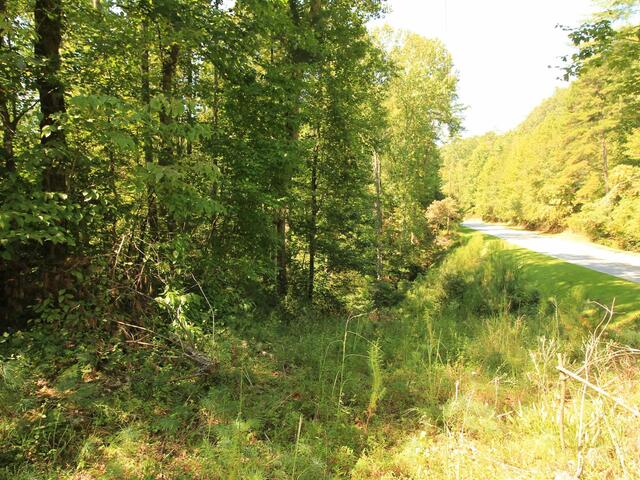 Photo of Cleo Chapman Highway