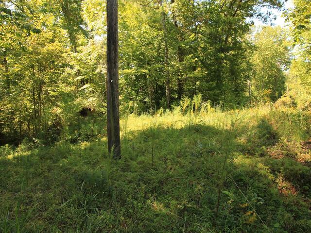 Photo of Cleo Chapman Highway