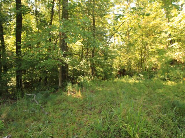 Photo of Cleo Chapman Highway