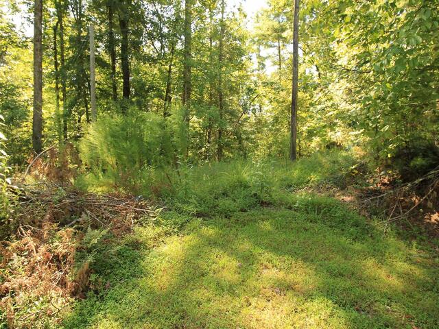 Photo of Cleo Chapman Highway