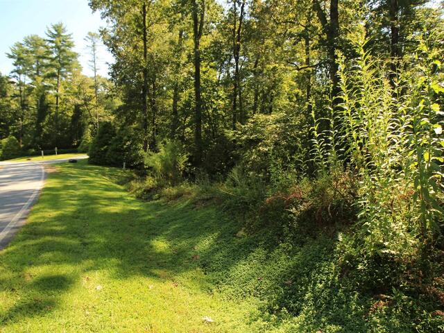 Photo of Cleo Chapman Highway