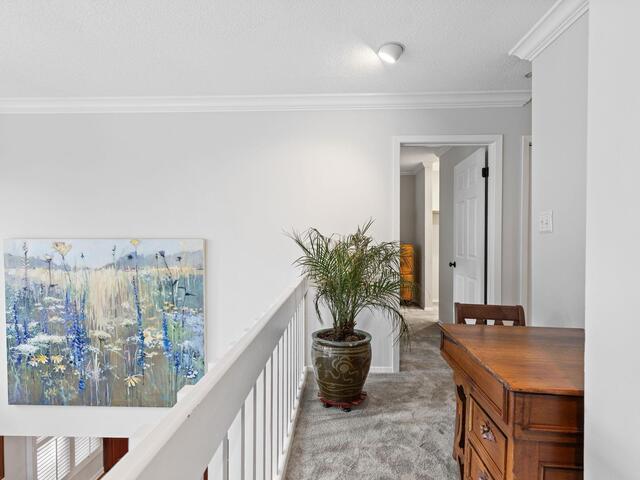 Photo of 147 Ingleoak Lane