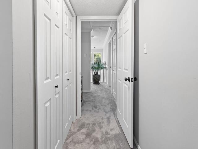 Photo of 147 Ingleoak Lane