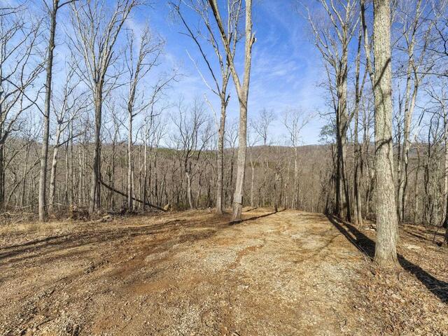 Photo of 314 Mountain Lake Lane