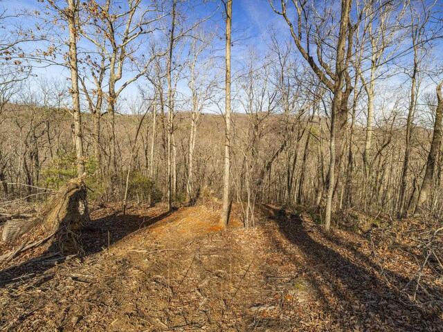 Photo of 314 Mountain Lake Lane