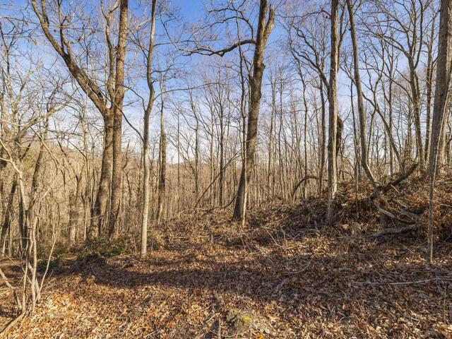 Photo of 314 Mountain Lake Lane