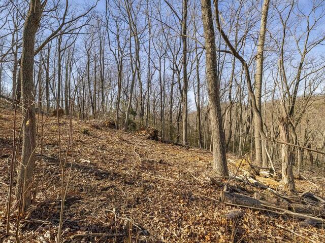 Photo of 314 Mountain Lake Lane