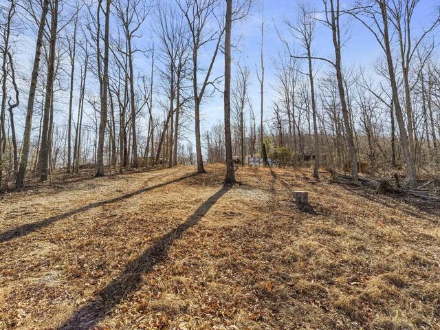 Photo of 314 Mountain Lake Lane