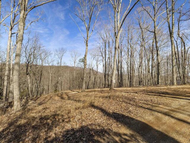 Photo of 314 Mountain Lake Lane