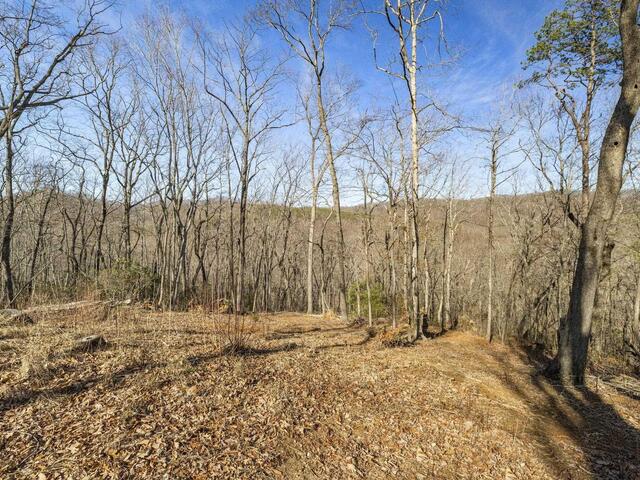 Photo of 314 Mountain Lake Lane