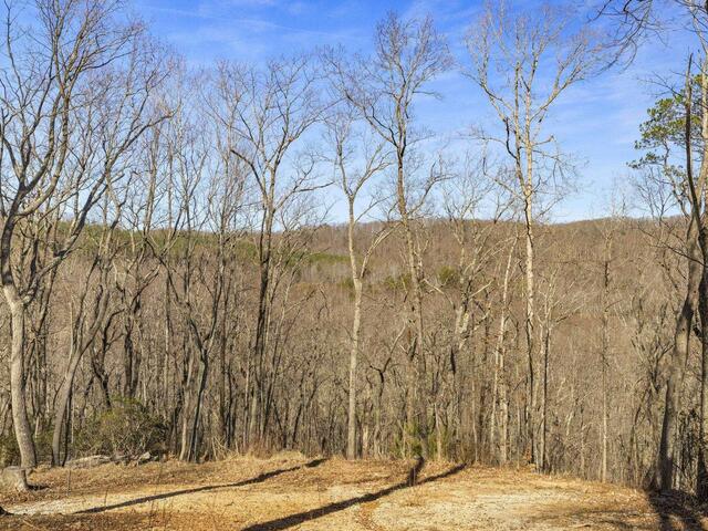 Photo of 314 Mountain Lake Lane