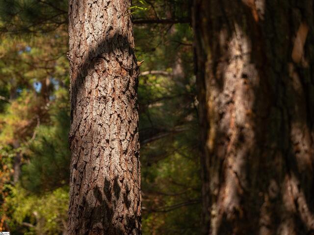 Photo of 00 Nash Mill Road