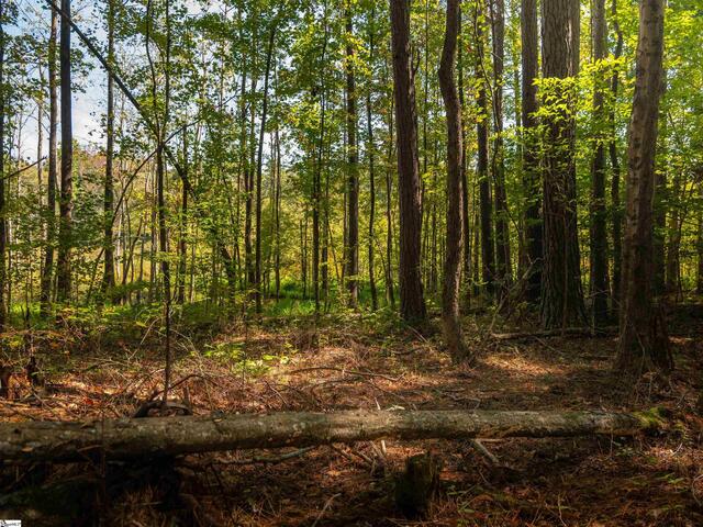 Photo of 00 Nash Mill Road