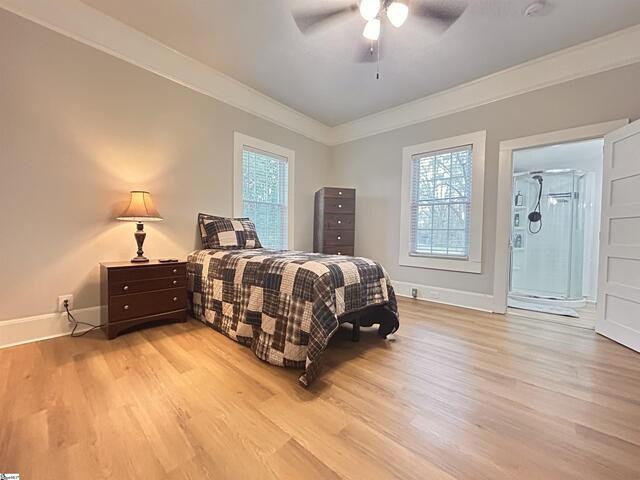 Photo of 3 Jesse Street